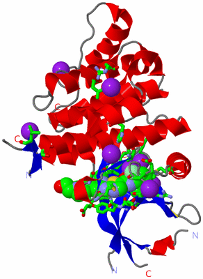 Image Asym./Biol. Unit - sites