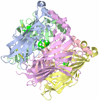 Image Asym./Biol. Unit