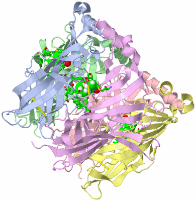 Image Asym./Biol. Unit - sites