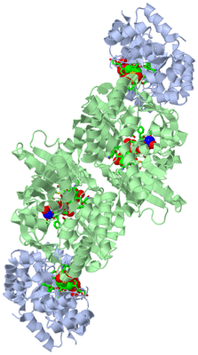 Image Biol. Unit 1 - sites