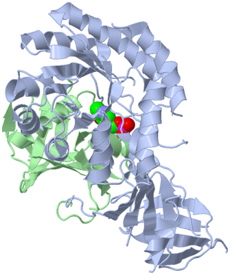 Image Asym./Biol. Unit