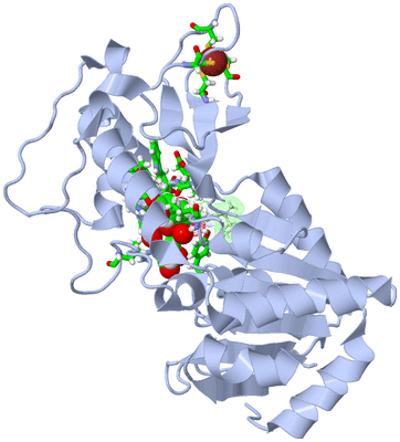 Image Asym./Biol. Unit - sites