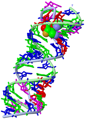 Image Biological Unit 1