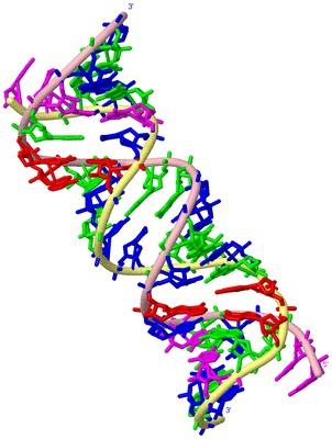 Image Biological Unit 2