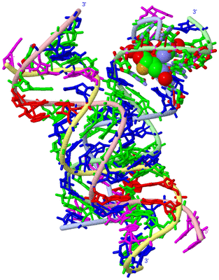 Image Asym. Unit - sites