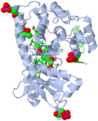 Image Asym./Biol. Unit - sites