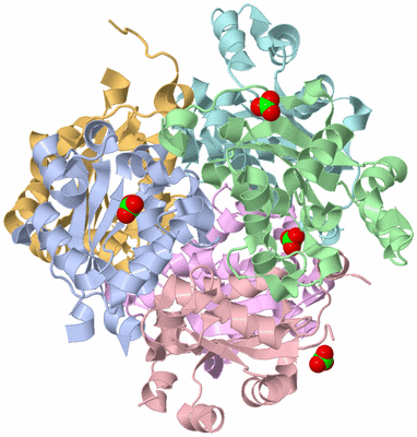 Image Biological Unit 1