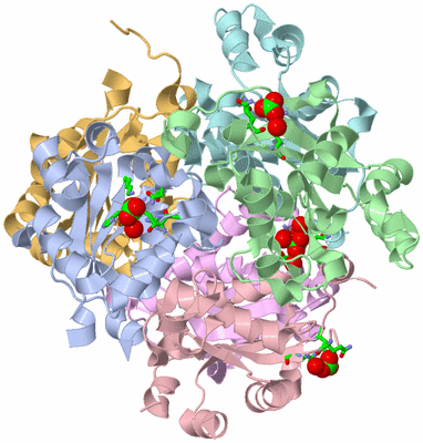 Image Biol. Unit 1 - sites