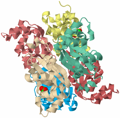 Image Biological Unit 2