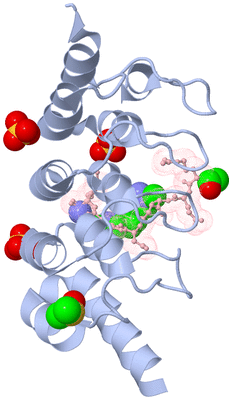 Image Biological Unit 1