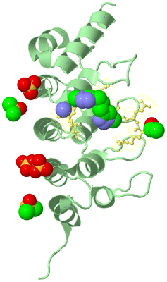 Image Biological Unit 2