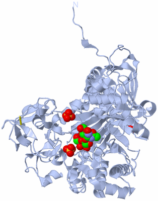 Image Biological Unit 1