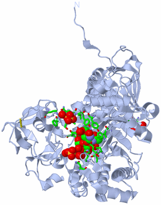 Image Biol. Unit 1 - sites