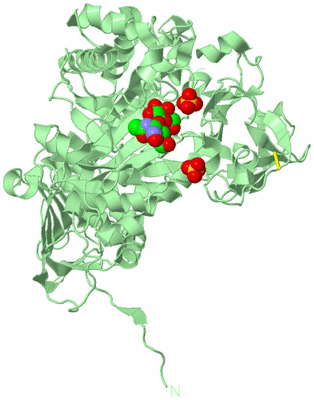 Image Biological Unit 2