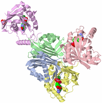 Image Asym./Biol. Unit