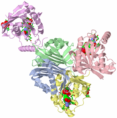 Image Asym./Biol. Unit - sites