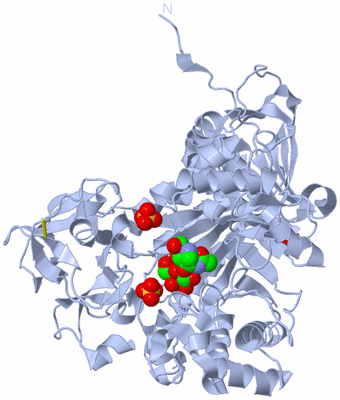 Image Biological Unit 1