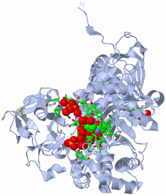 Image Biol. Unit 1 - sites