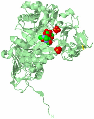 Image Biological Unit 2