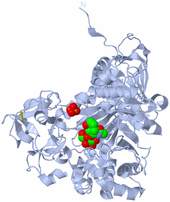 Image Biological Unit 1