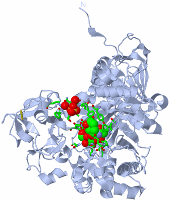 Image Biol. Unit 1 - sites