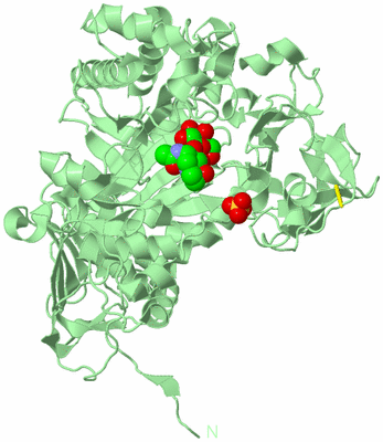 Image Biological Unit 2