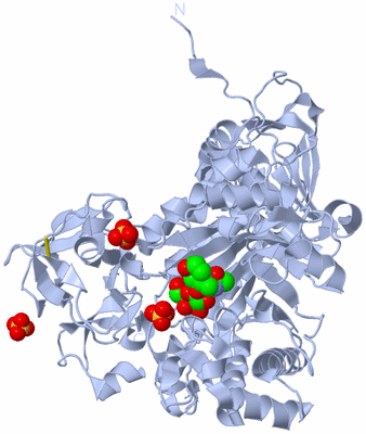 Image Biological Unit 1