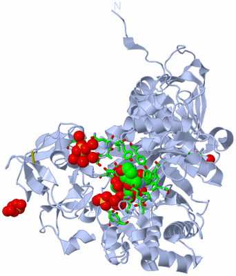 Image Biol. Unit 1 - sites