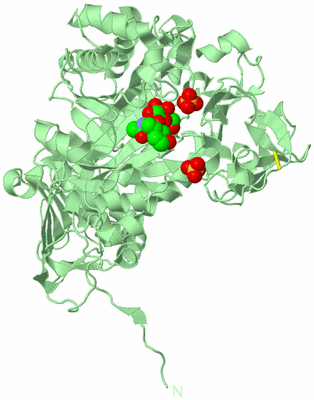 Image Biological Unit 2