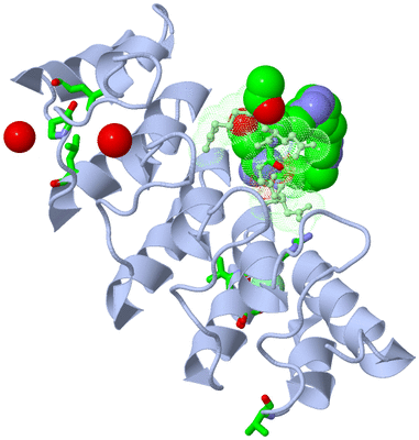 Image Asym./Biol. Unit - sites