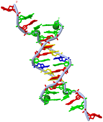 Image Biological Unit 1