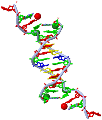 Image Biol. Unit 1 - sites