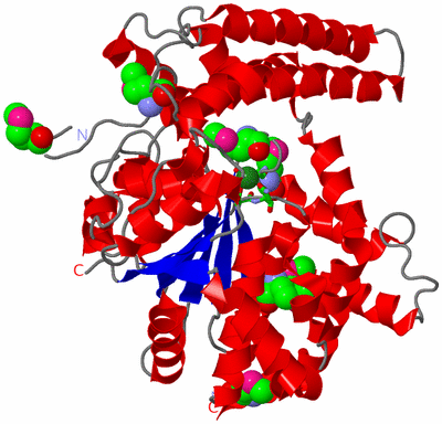 Image Asym./Biol. Unit - sites