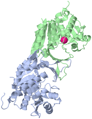 Image Asym./Biol. Unit