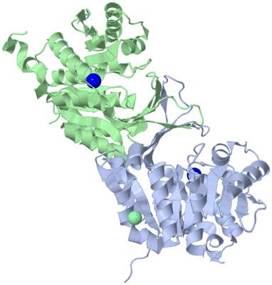 Image Asym./Biol. Unit