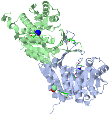 Image Asym./Biol. Unit - sites