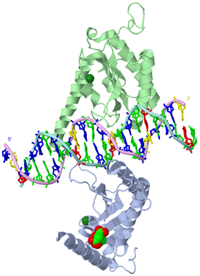 Image Biological Unit 1