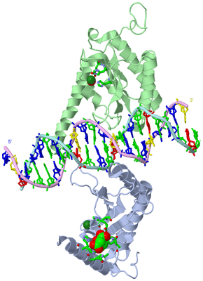 Image Biol. Unit 1 - sites