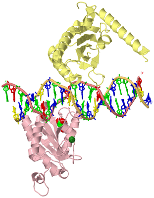 Image Biological Unit 2