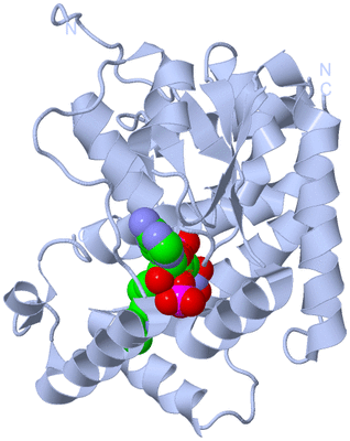 Image Biological Unit 1