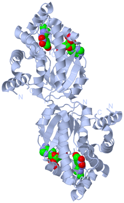 Image Biological Unit 2