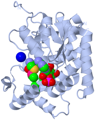 Image Biological Unit 1