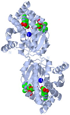 Image Biological Unit 2