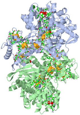 Image Biol. Unit 1 - sites