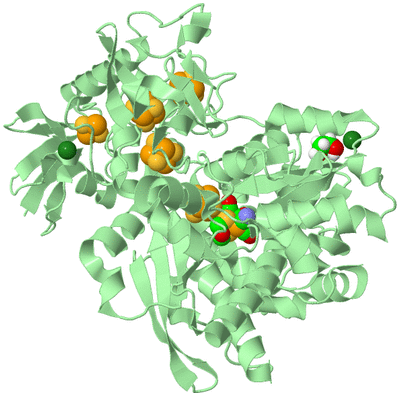 Image Biological Unit 2