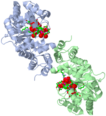 Image Asym./Biol. Unit - sites