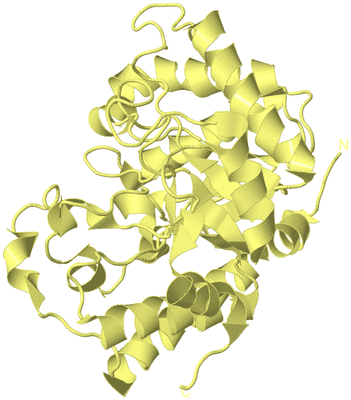 Image Biological Unit 4