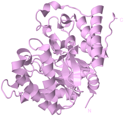 Image Biological Unit 5