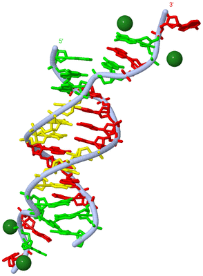 Image Biological Unit 1