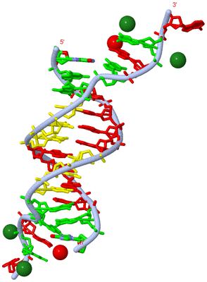 Image Biol. Unit 1 - sites